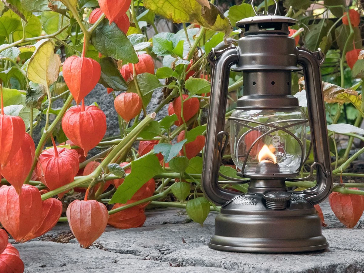 Feuerhand Baby Special 276 Bronze Stormlamp - Afbeelding 2