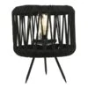 Lumineo Black Touw Solar Tafellamp