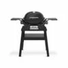 Weber Q 1200N Stand Gasbarbecue